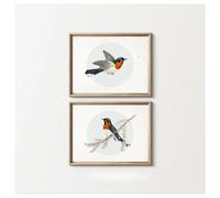 BYAMBD Aesthetic Pictures 2pcs Frameless Retro Hummingbird Posters Prints Wall Art Canvas Simple Bird Farmhouse Country Painting Apartment Decor(G,50x70cm)