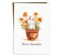 BYANIKA Cute Thank You Card | Gratitude, Thanks So Much, Appreciation, For Helping Me, Your Help Support | For Him, Her Best Friend, Colleague, Teacher, Nurse, Mentor, Tutor | Blank Inside | Cat Pun