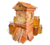 ByBoDi Beehive Starter Kit,Self-Flowing Honey Hive,with Observation Window & Honey Spout, Includes Carpenter Bee House,Self-Flowing Wooden Bee Box,for Garden Pollinators