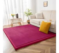 BYBYME Coral Velvet Rug, 3cm Thick Crawling Carpet with Non-Slip Fluffy Short Pile, Modern Washable Soft Mat, Perfect Carpets for Yoga, Exercise and Crawling (Magenta, 150×200cm)
