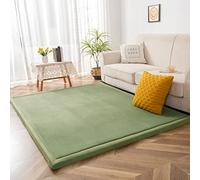 BYBYME Coral Velvet Rug, 3cm Thick Crawling Carpet with Non-Slip Fluffy Short Pile, Modern Washable Soft Mat, Perfect Carpets for Yoga, Exercise and Crawling (LightGreen, 150×200cm)