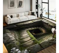 Bycmuoz Secret Cellar Spiral Stairs Area Carpets, 160x200cm, 3D Mossy Brick Optical Illusion Living Room Rugs, Non-Slip Washable Novelty Decor Foldable Rug for Sofa Family Hallway
