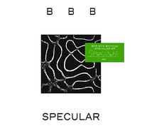 BYE BYE BICYCLE - Specular EP - Vinyl Record - F600z