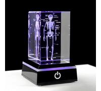 byepica 3D Human Skeleton Anatomy Model with Led Base, Crystal Glass Skeleton Figurine, Colorful Light-Up Science Bone Figurine, Ideal for Doctor and Psychology Graduation Gift