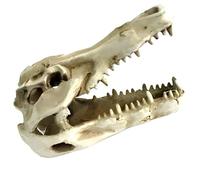 byepica Resin Dinosaur Aquarium Decor, Reptile Tank Ornament, Simulated Bone Color, Safe for Lizards Snakes, Hiding Cave