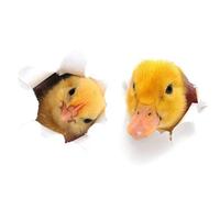 BYFRI Little Duck Wall Sticker for Bathroom Cupboard Home Decoration Decals Personality Wallpaper Animals Toilet Stickers
