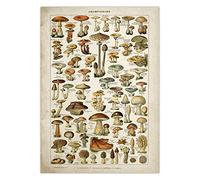 BYFRI Vintage Poster Antique Floral Print Art Botanical Educational Poster Mushroom Wall Art Home Decor