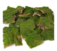 BYHER Assorted Artificial Moss Bark, Decorative Mossy Tree Bark for DIY Crafts, Fairy Gardens, Terrariums, Floral Arrangements (Realistic Green - 100gr)