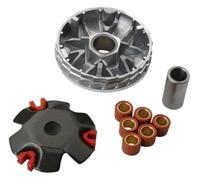 BYINGS Scooter Variator Kit Racing Roller 16x13mm 7g Compatible With Agility50 DJS50 Filly50 People50 Super8 Vitality50 YagerGT50cc 4-Stroke