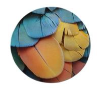 BYLEEHOMED 3D Visual Effects Colorful Feather Round Rug 60 cm Parrot Macaw Wing Carpet Vibrant Turquoise and Orange Aesthetic Rugs for Entryway