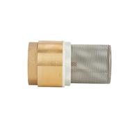 BYLSAGWHT 1/2" 3/4" 1" 1-1/4" 1-1/2" 2" Female Thread Brass One Way Non-Return Check Valve With Steel Strainer Filter(1")