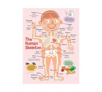 BYLSAGWHT Anatomy Poster of The Human Skeleton, Educational Chart for Study, Vibrant Decor for Biology Classroom, Doctor’s Office or Physical(Unframed,16x24inch(40x60cm))