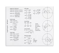 BYLSAGWHT Engineering and Math Student Poster Trigonometry Formulas Guide Angle Sum Double Angle Law of Sines Canvas Wall-Art for Home Office Decor(Framed,16x24inch(40x60cm))