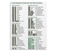 BYLSAGWHT Excel Shortcut Keys Poster for Analysts Copy Paste Filter Sort Pivot Table Efficiency Chart Office Wall Print(Unframed,12x18inch(30x45cm))