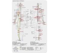 BYLSAGWHT Five Elements Theory Chart Chinese Medicine Meridian Acupuncture Points Poster Aluminum Metal Sign for TCM Clinic Acupuncturist Office Holistic Health Decor 8 X 12 inch