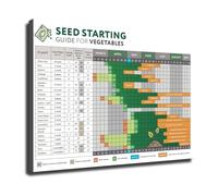 BYLSAGWHT Home Vegetable Garden Poster Guide to Seed Starting and Companion Planting with Visual Chart for Garden Planning(Framed,12X18inch(30X45cm))