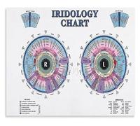 BYLSAGWHT Iridology Theory Canvas Print Reference Chart Wall-Art Poster for Holistic Living Room or Office Decor(Framed,16x24inch(40x60cm))