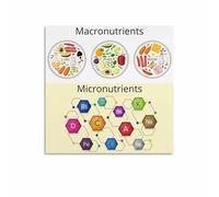 BYLSAGWHT Muscle Building Macronutrient Guide Canvas Wall-Art for Home Gym Decor Fitness Meal Chart Bodybuilding Nutrition Poster Infographic Print(Framed,12x18inch(30x45cm))