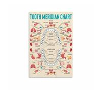 BYLSAGWHT Tooth Meridian Chart for Whole Body Health, Holistic Dentistry Poster Canvas Art for Chiropractor, Naturopath, Study(Framed,16x24inch(40x60cm))
