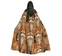 BYPPJGH Halloween Hooded Cape For Adult Orange Cats Full Length Cape Cloak Halloween Christmas Cosplay Costume For Men And Women