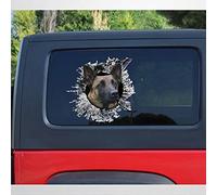 BYRON HOYLE Belgian Malinois 3D Car Window Decal Belgian Malinois Vinyl Car Sticker Pet Decal Sticker for Windows Cars Trucks Bumpers Laptops