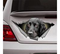 BYRON HOYLE Black Cocker Spaniel 3D Car Decal Dog Vinyl 3D Car Sticker Black Cocker Spaniel Bumper Sticker for Windows Cars Trucks Laptops