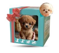 ByteCraft My Realistic Robot Puppy, 2025 New Realistic Puppy, Robot Dogs That Act Like Real Dogs, Electronic Interactive Stuffed Toys for Sitting, Barking, Walking and Running Holiday Present (B)