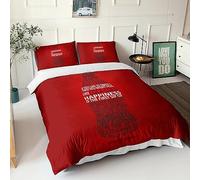 BYTUGI Coca - Cola for Boys Girls Quilt Cover Duvet Cover Comforter Covers 3D Print with Pillow Cases Bedding Set with Zipper Closure Soft Microfiber 3 Pieces King（220x240cm）