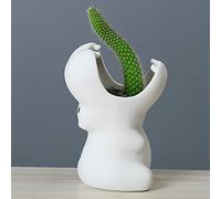 BYVUTE Ceramic Hippo Succulent Pots, Cute Funny Animal Planter, Creative Plant Pots for Gardening, Succulents, Flowers, Cactus, for Indoors Outdoor Office Home Garden Kitchen Decor (White)