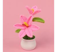 BYVUTE Crochet Lily Flower Pot, Finished Hand Woven Artificial Flowers Eternal Mini Pot Decoration for Office Kitchen Living Room Table Office Bedroom Unique Gift (Pink A)
