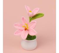 BYVUTE Crochet Lily Flower Pot, Finished Hand Woven Artificial Flowers Eternal Mini Pot Decoration for Office Kitchen Living Room Table Office Bedroom Unique Gift (Pink B)