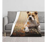 BYwenhopnbs American Staffordshire Terrier Printing,Super Soft Thick Comfy Cozy Throw Flannel Blanket Couch 60"x50"