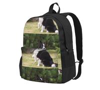 BYwenhopnbs Bad Dog Border CollieSchool Backpack Travel Bag for Men Women College Back Pack with 15 Laptop Compartmen
