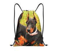BYwenhopnbs Beautiful Autumn Doberman Drawstring Bag String Bag Lightweight Gym Backpack for Men Women
