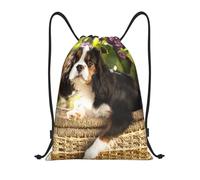 BYwenhopnbs Cavalier King Charles Spaniel (4) Drawstring Bag String Bag Lightweight Gym Backpack for Men Women