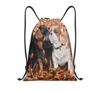 BYwenhopnbs Cavalier King Charles Spaniel Autumn Puppies Drawstring Bag String Bag Lightweight Gym Backpack for Men Women