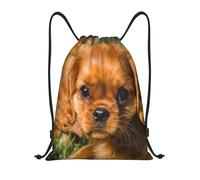 BYwenhopnbs Cavalier King Charles Spaniel Brown Curly Dogs Drawstring Bag String Bag Lightweight Gym Backpack for Men Women