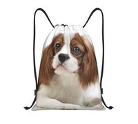 BYwenhopnbs Cavalier King Charles Spaniel Brown Spaniel Drawstring Bag String Bag Lightweight Gym Backpack for Men Women