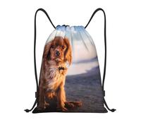BYwenhopnbs Cavalier King Charles Spaniel Coast Pets Dogs Drawstring Bag String Bag Lightweight Gym Backpack for Men Women