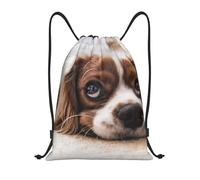 BYwenhopnbs Cavalier King Charles Spaniel Cute Dogs Pets Drawstring Bag String Bag Lightweight Gym Backpack for Men Women