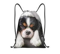 BYwenhopnbs Cavalier King Charles Spaniel Dog Drawstring Bag String Bag Lightweight Gym Backpack for Men Women