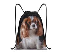 BYwenhopnbs Cavalier King Charles Spaniel Mother With Cubs Drawstring Bag String Bag Lightweight Gym Backpack for Men Women