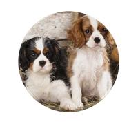 BYwenhopnbs Cavalier King Charles Spaniel Small Puppies Round Mouse Pad, Sewn Edge Design 8 x 8 in