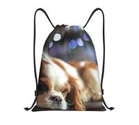 BYwenhopnbs Cavalier King Charles Spaniel Small Spaniel Drawstring Bag String Bag Lightweight Gym Backpack for Men Women