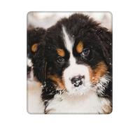 BYwenhopnbs Cool Bernese Mountain Dog Square Mouse Pad Sewn Edge Design 10&12in