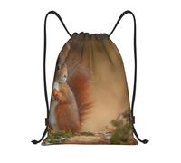 BYwenhopnbs Cute Animal Red Squirrel Sciurus Drawstring Bag String Bag Lightweight Gym Backpack for Men Women