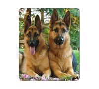 BYwenhopnbs German Shepherd Dogs Print Square Mouse Pad Sewn Edge Design 10&12in