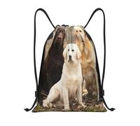 BYwenhopnbs Labrador Retrievers Dogs Black Golden White Brown Drawstring Bag String Bag Lightweight Gym Backpack for Men Women