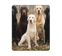 BYwenhopnbs Labrador Retrievers Dogs Black Golden White Brown Square Mouse Pad Sewn Edge Design 10&12in