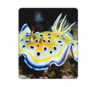 BYwenhopnbs Nudibranch Red Sea Square Mouse Pad Sewn Edge Design 10&12in